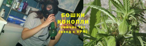 PSILOCYBIN Белокуриха