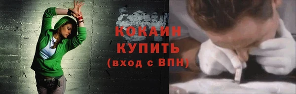 PSILOCYBIN Белокуриха