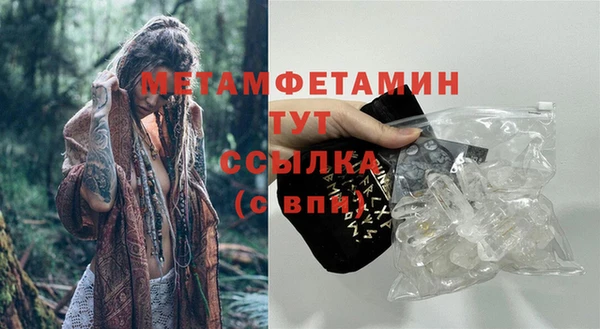 PSILOCYBIN Белокуриха