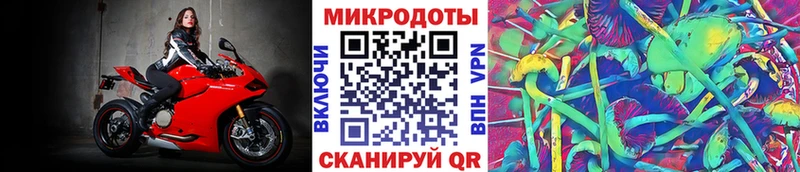 Галлюциногенные грибы Psilocybine cubensis  Кубинка 